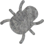 bug 2