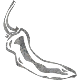 chili pepper 10 icon