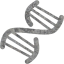 dna helix