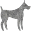 dog 31