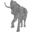 elephant 2