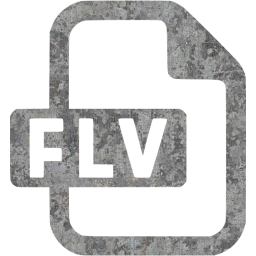 flv icon