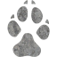 footprints dog