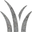 grass
