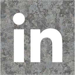 linkedin 2 icon