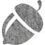 nut