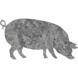 pig 4 icon