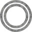 plasmid