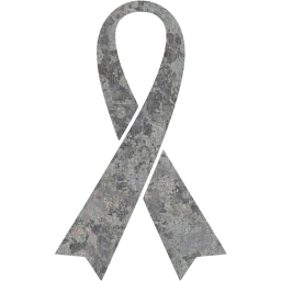 ribbon 16 icon
