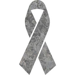 ribbon 17 icon