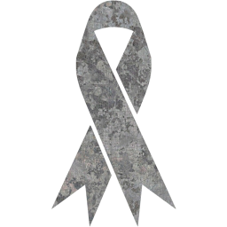 ribbon 2 icon