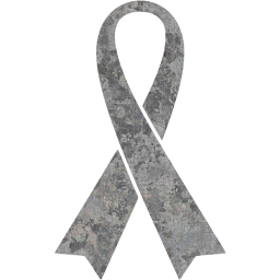 ribbon 6 icon
