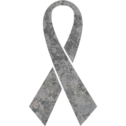 ribbon 8 icon