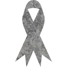 ribbon icon
