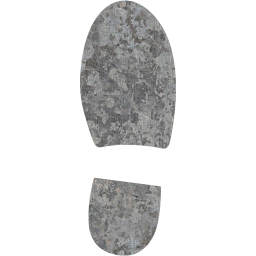 right shoe footprint icon
