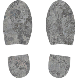 shoes footprints icon