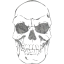 skull 41