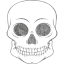 skull 55