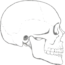 skull 62 icon