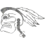 skull 66