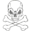 skull 72