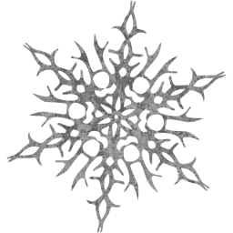 snowflake 14 icon
