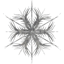 snowflake 53 icon