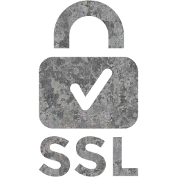 ssl badge 2 icon