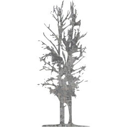 tree 14 icon