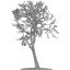 tree 16