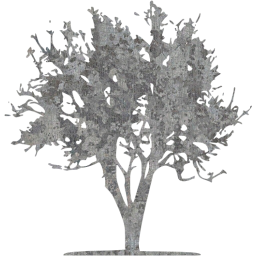 tree 21 icon