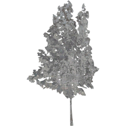tree 35 icon