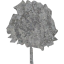 tree 37