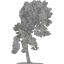 tree 38