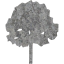 tree 4