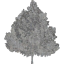 tree 47