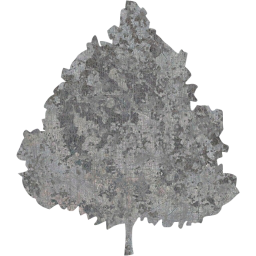 tree 47 icon