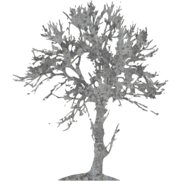 tree 48 icon