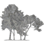 tree 56