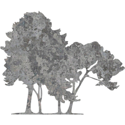 tree 56 icon
