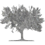 tree 59