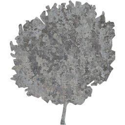 tree 61 icon