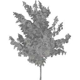 tree 71 icon