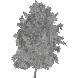 tree 73 icon