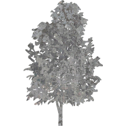 tree 74 icon