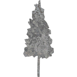 tree 75 icon