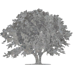 tree 9 icon