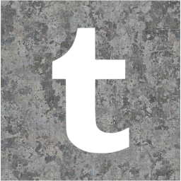 tumblr 2 icon