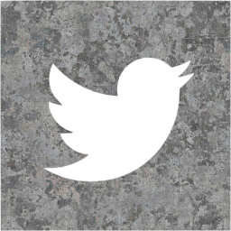 twitter 2 icon