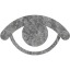 visible